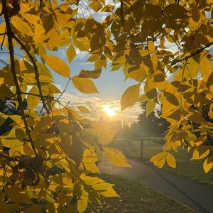 Meet your Posher, Jack